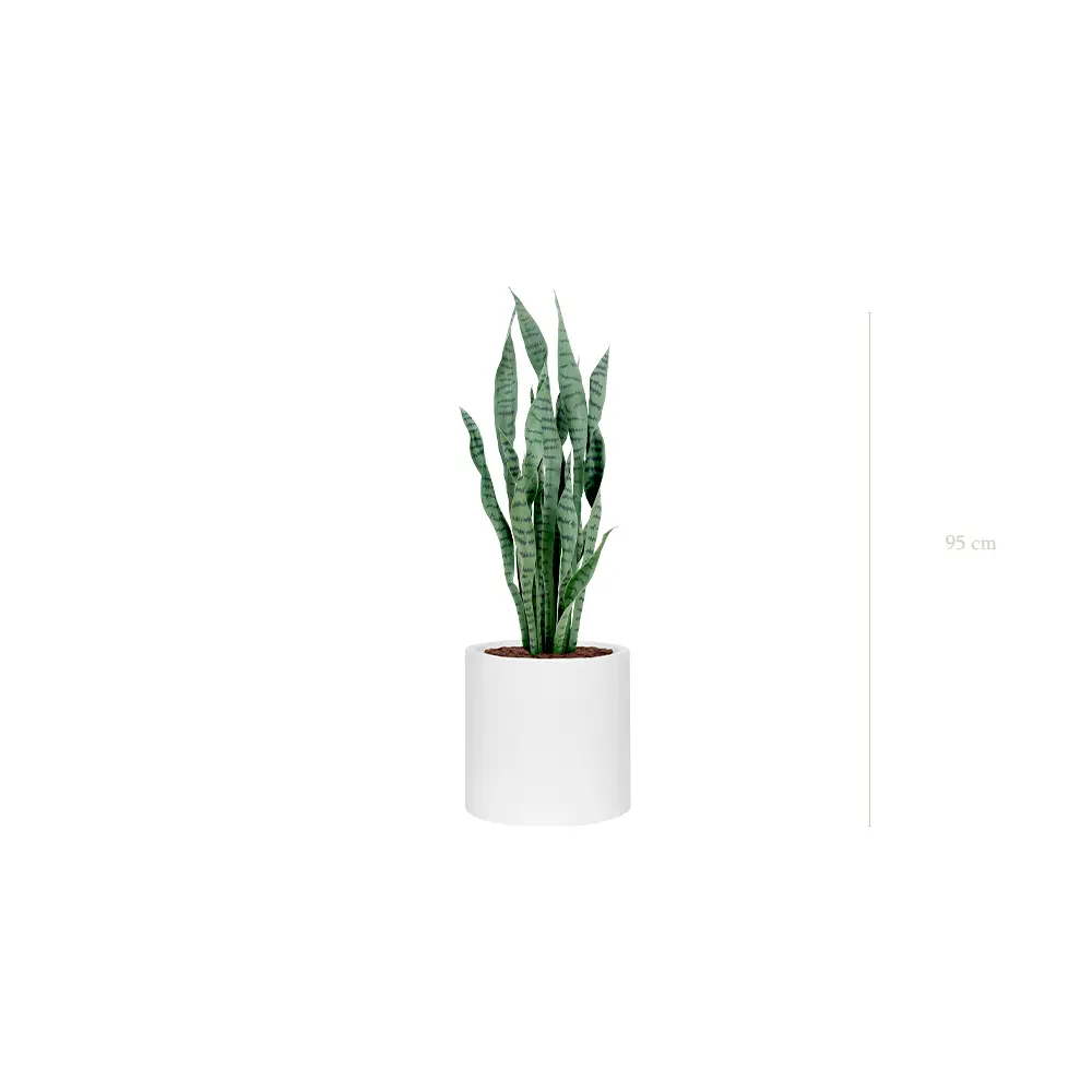 Le Sansevieria - Cylindre Blanc - Artificiel