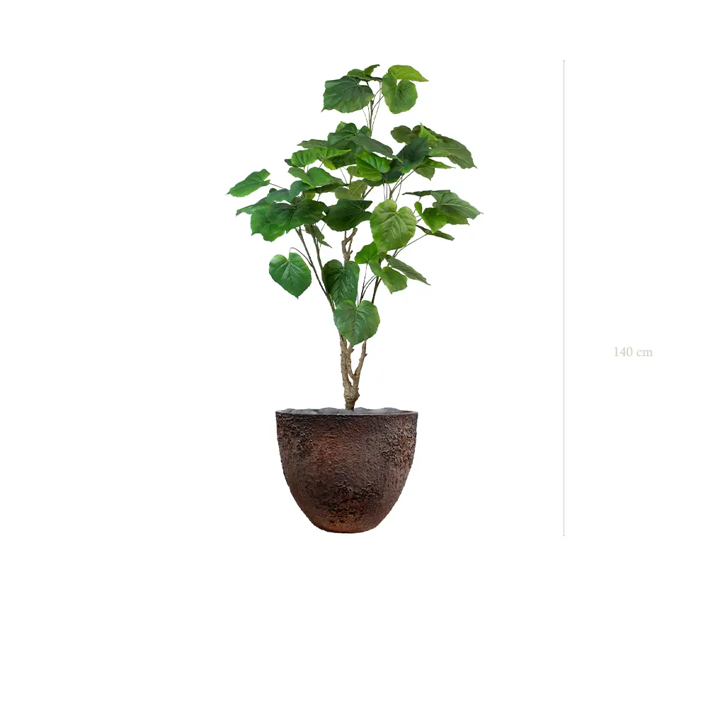 Le Ficus Umbellata - Pot Oyster - Artificiel
