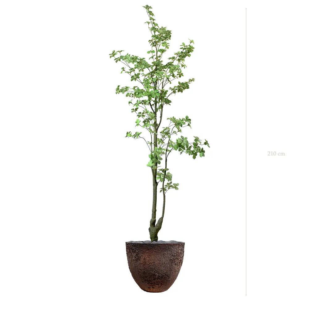 Le Tropaeolum - Pot Oyster - Artificiel