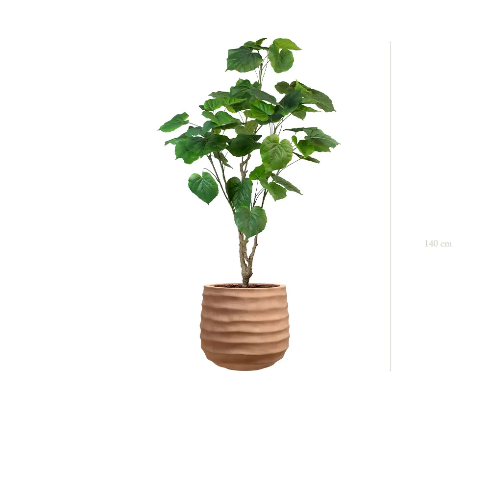 Le Ficus Umbellata - Pot Terracotta - Artificiel