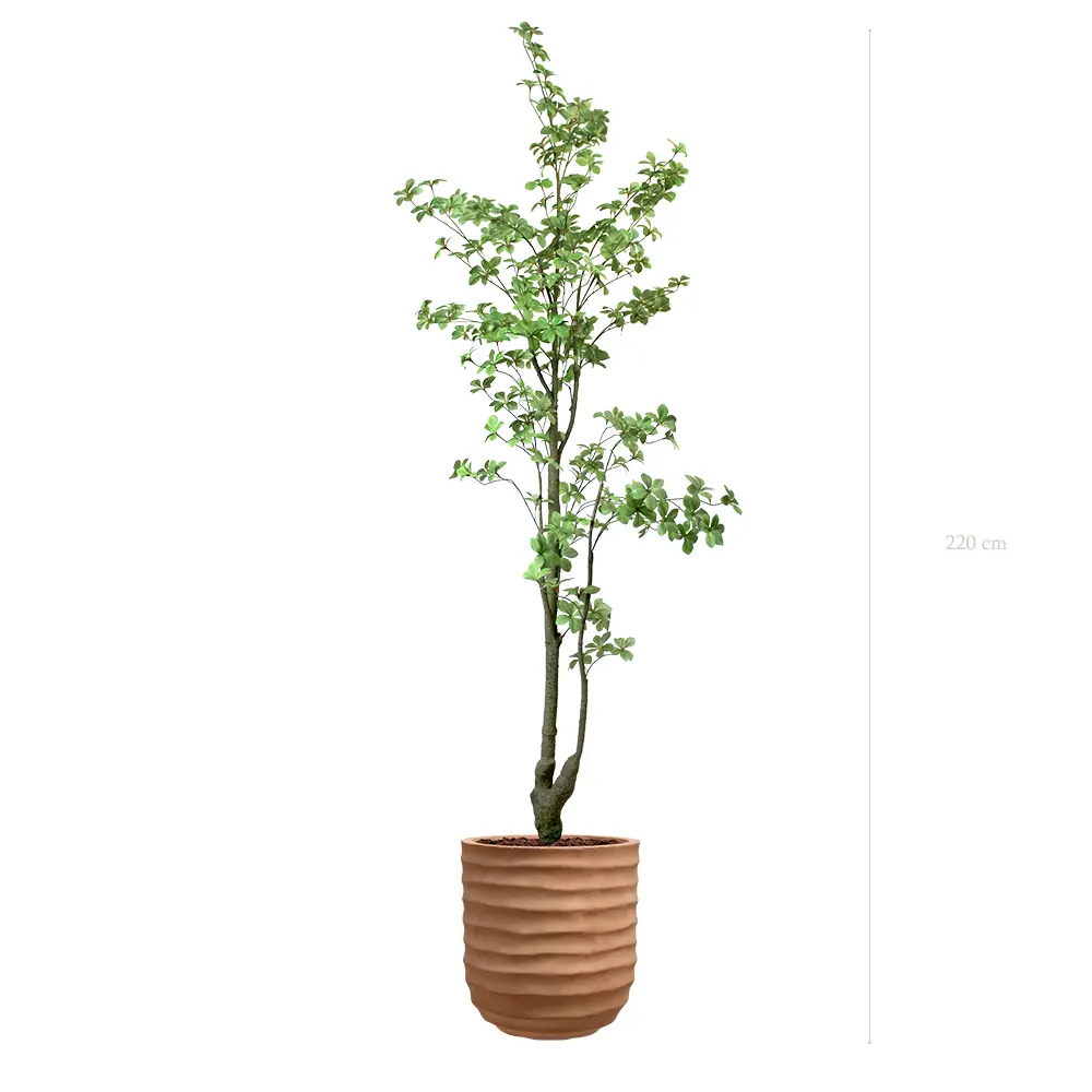 Le Tropaeolum - Pot Terracotta - Artificiel