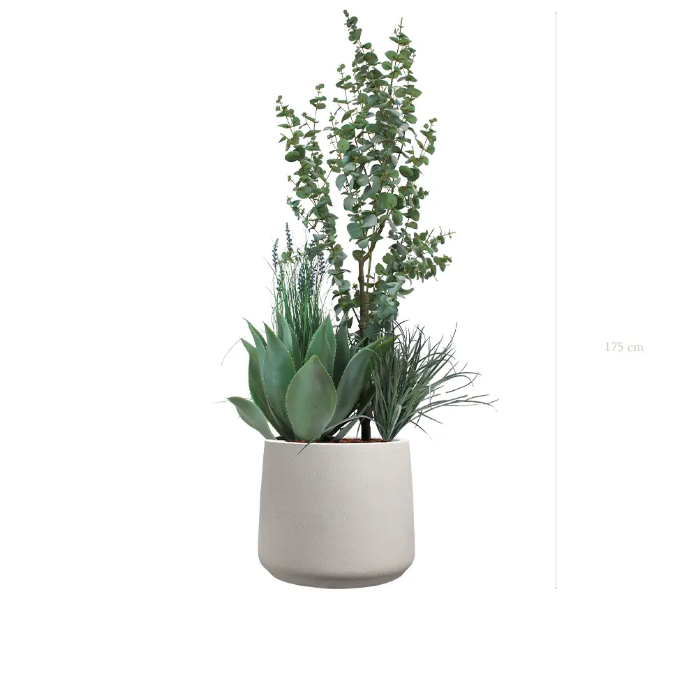 La Fréjus - Pot Sable - Artificiel