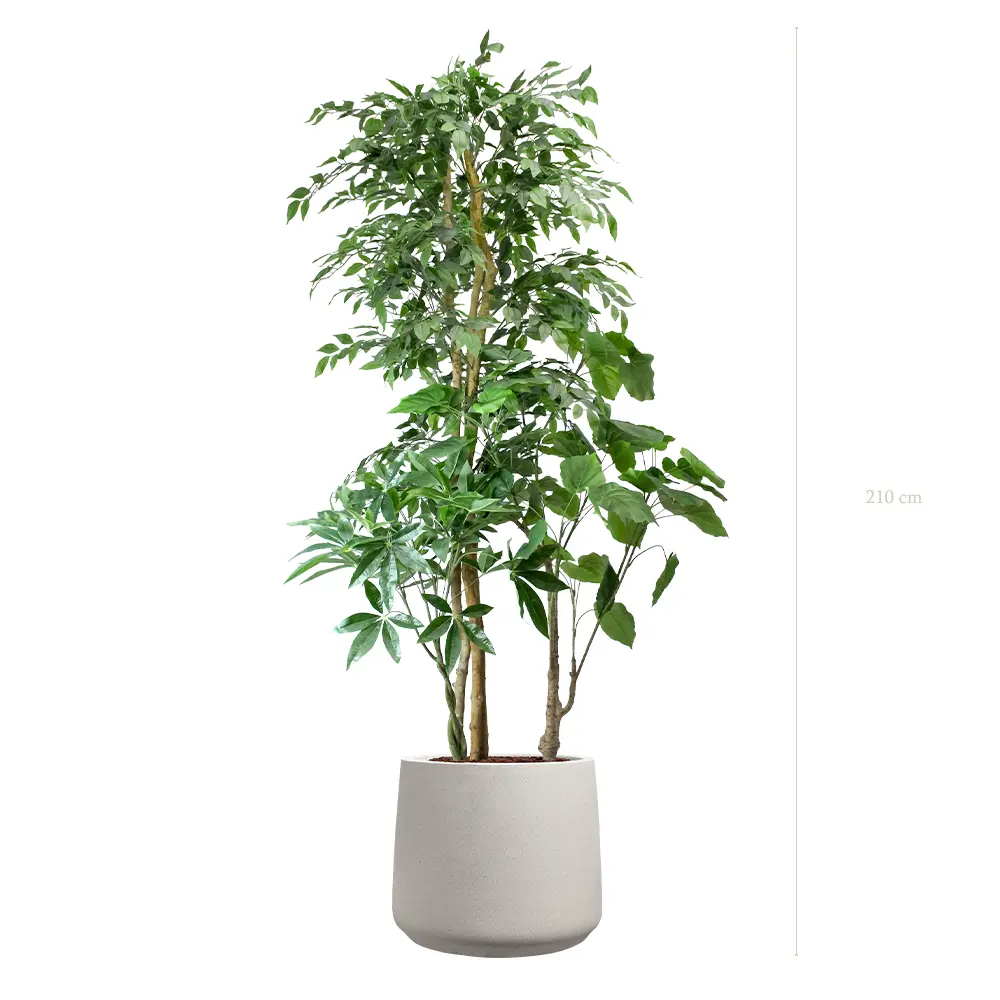 La Skye - Pot Sable - Semi-Naturel 