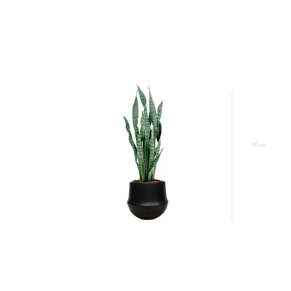 Le Sansevieria - Pot Rond Noir - Artificiel