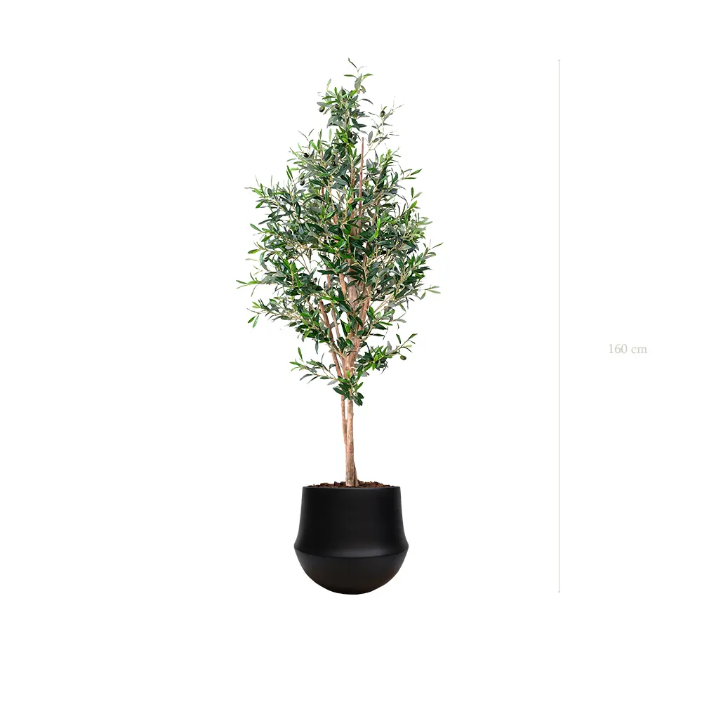 Le Petit Olivier - Pot Rond Noir - Semi-Naturel