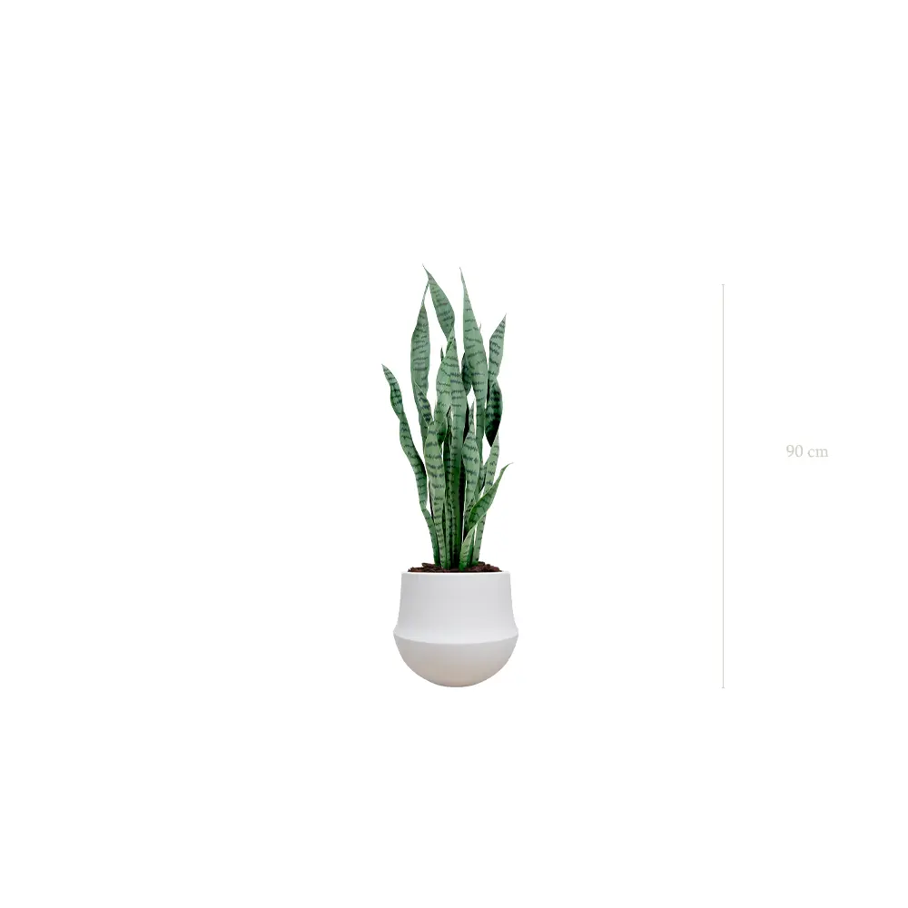 Le Sansevieria - Pot Rond Blanc - Artificiel