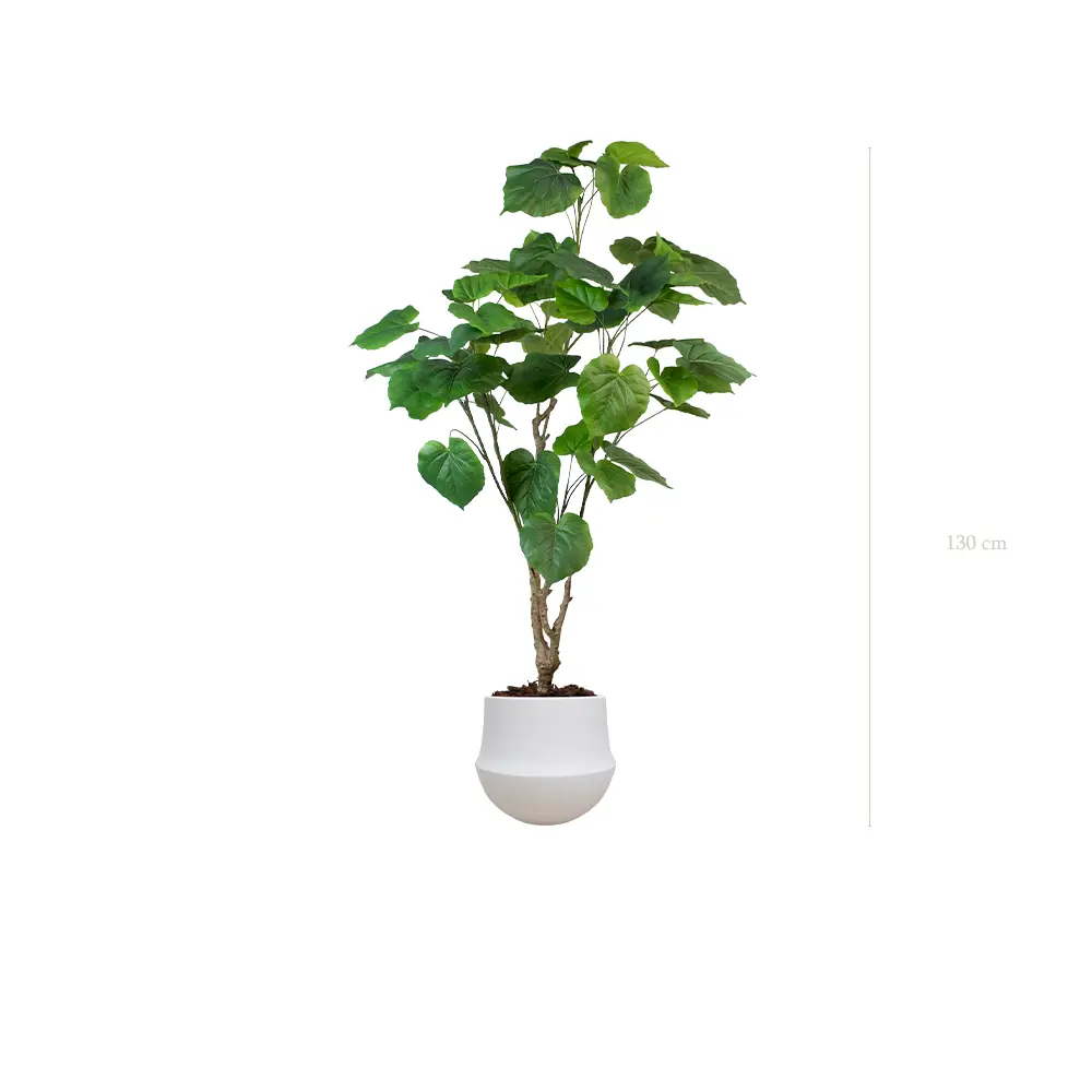 Le Ficus Umbellata - Pot Rond Blanc - Artificiell