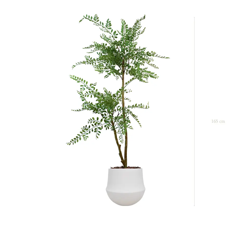 La Sophora - Pot Rond Blanc - Artificiel