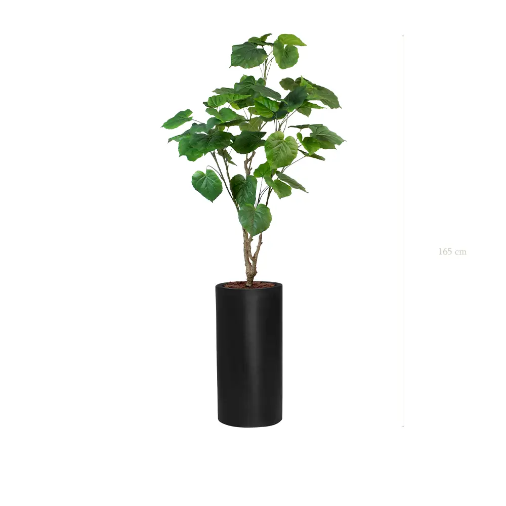 Der Ficus Umbellata - Hoher schwarzer Zylinder #Künstlich