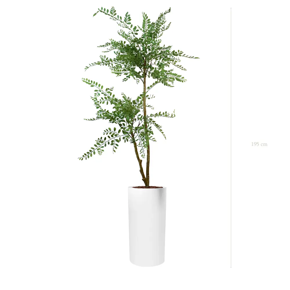 La Sophora - Cylindre Haut Blanc - Artificiel