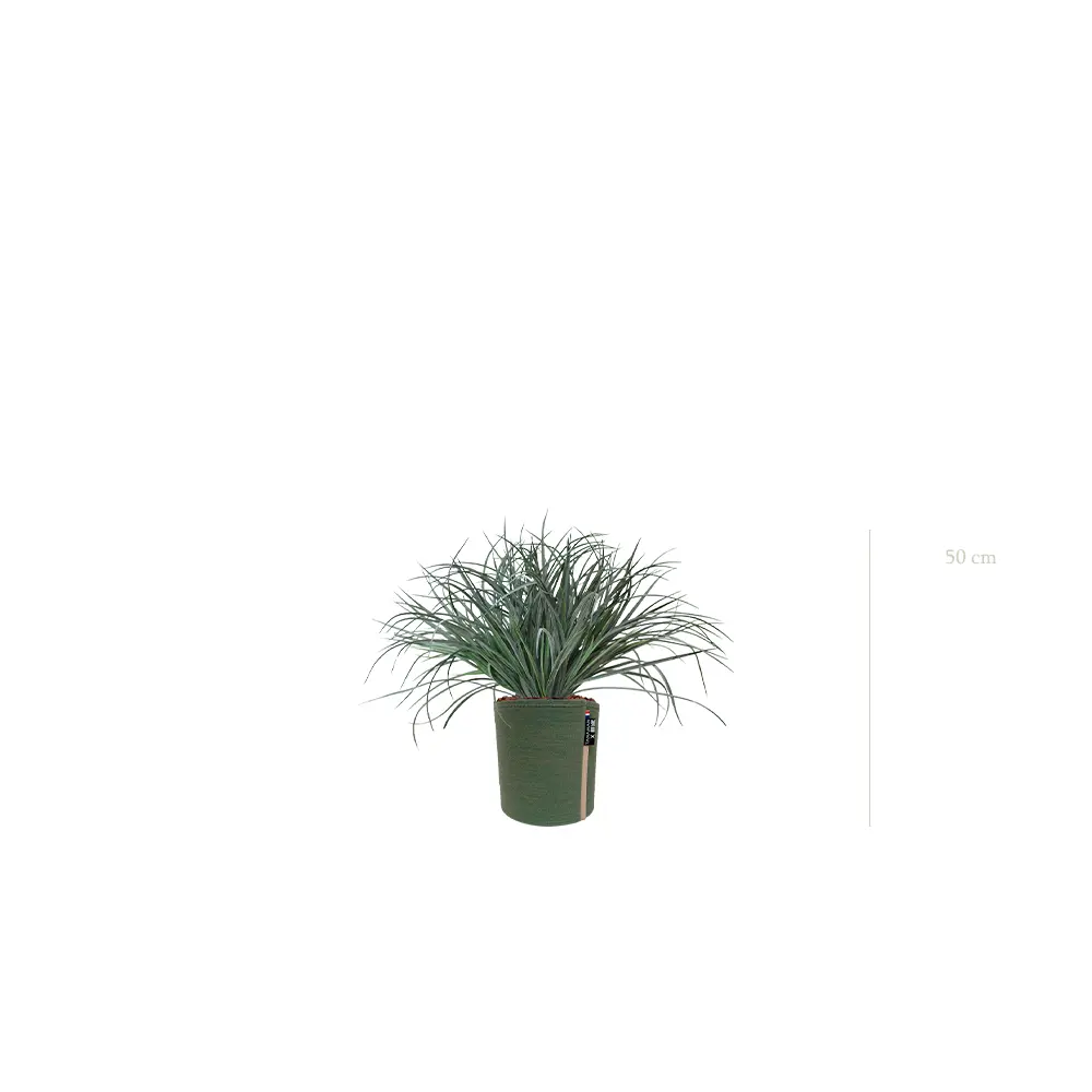 La Graminée Bush - Pot MyBac #Artificiel