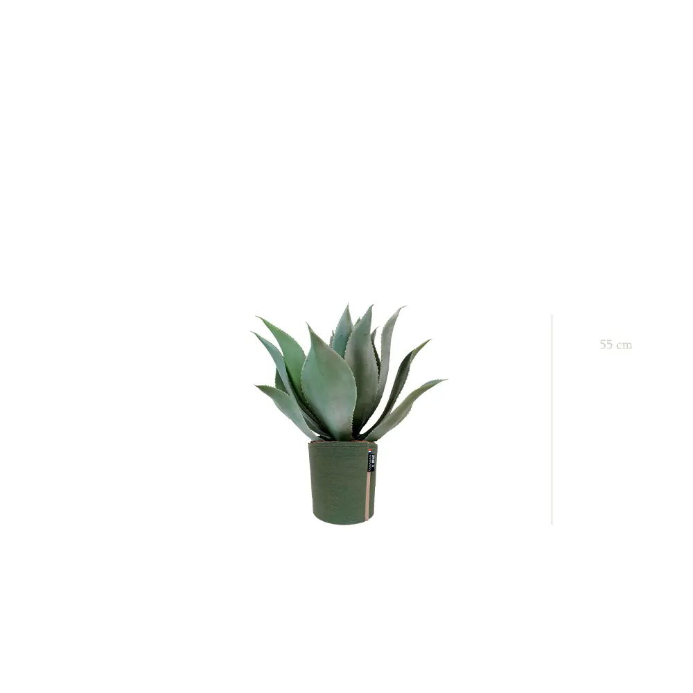 L'Agave - Pot MyBac - Artificiel
