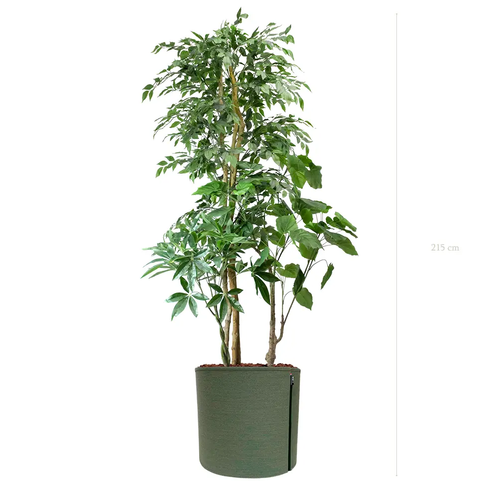 La Skye - Pot MyBac - Semi-Naturel 