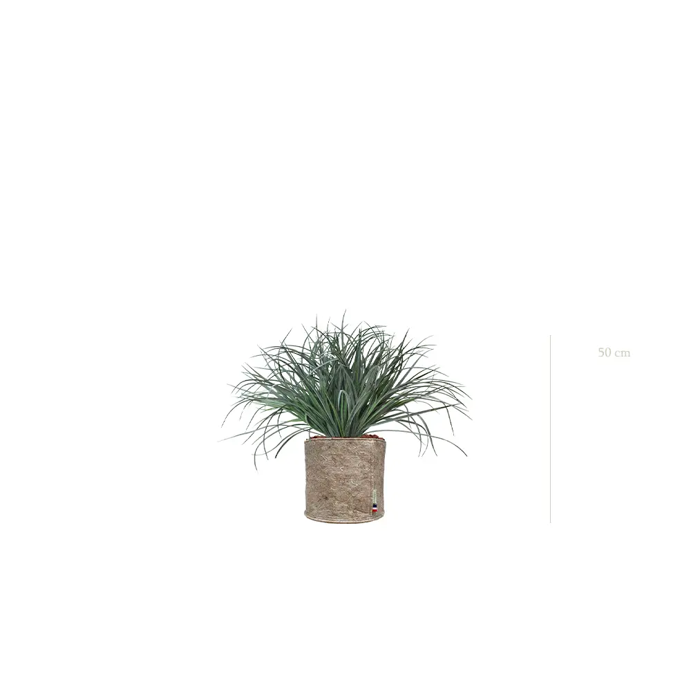 La Graminée Bush - Pot Tissu Beige - Artificiel