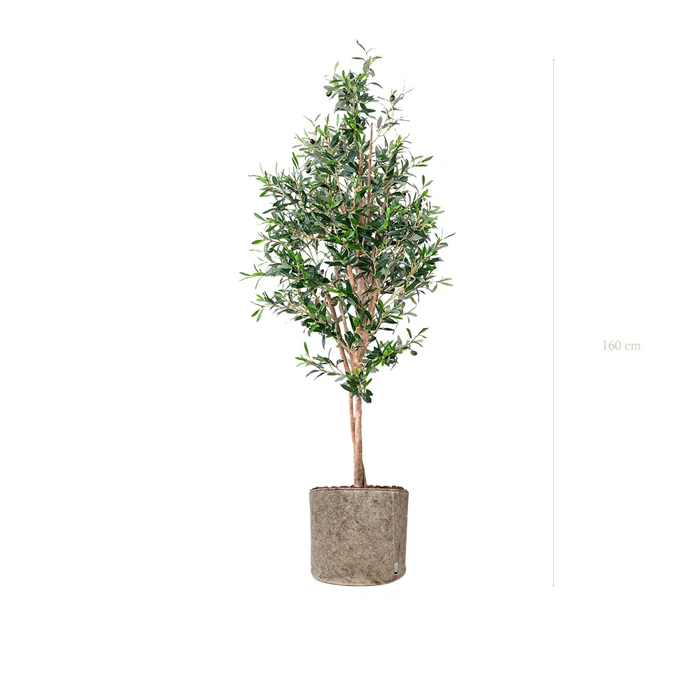 Le Petit Olivier - Pot Tissu Beige - Semi-Naturel