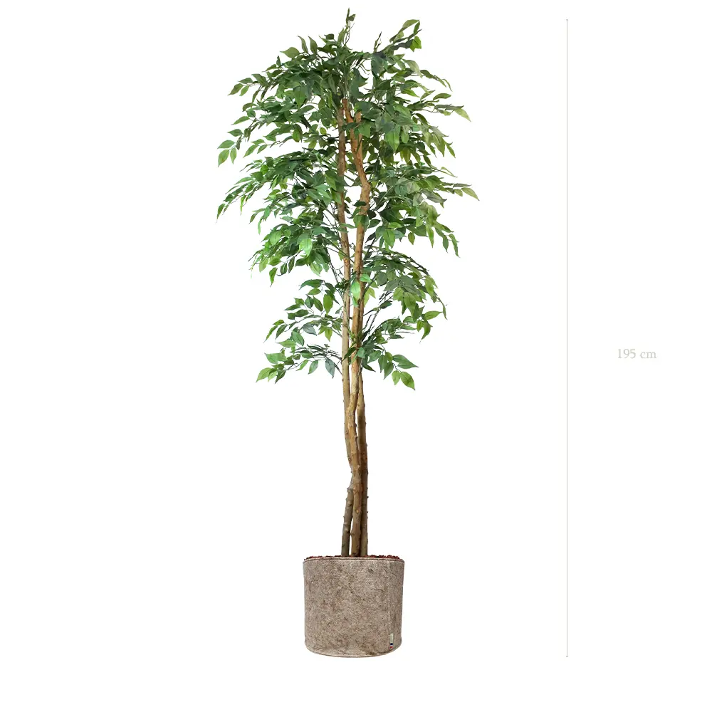 Le Figuier - Pot Tissu Beige - Semi-Naturel