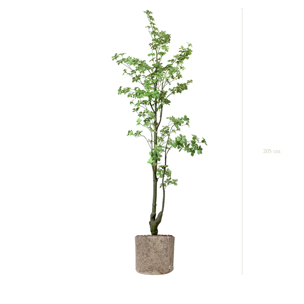 Le Tropaeolum - Pot Tissu Beige #Artificiel