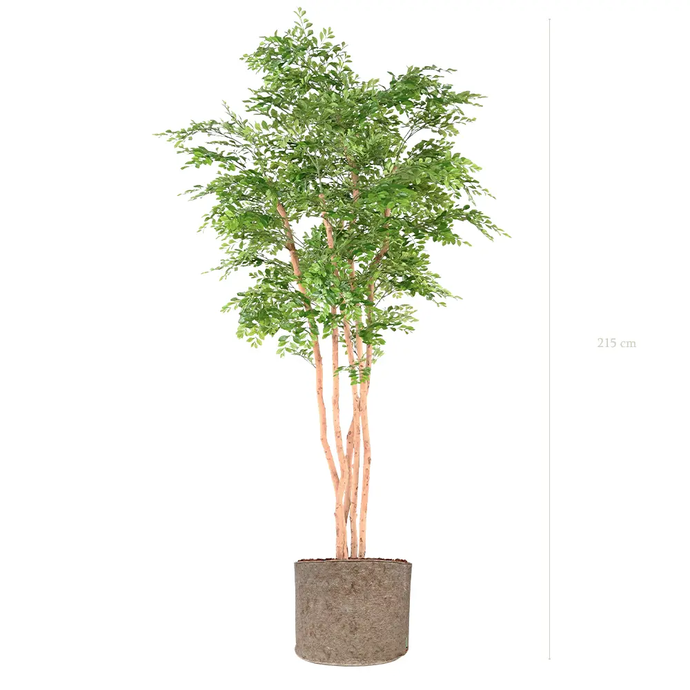 L'Acacia - Pot Tissu Beige - Semi-Naturel