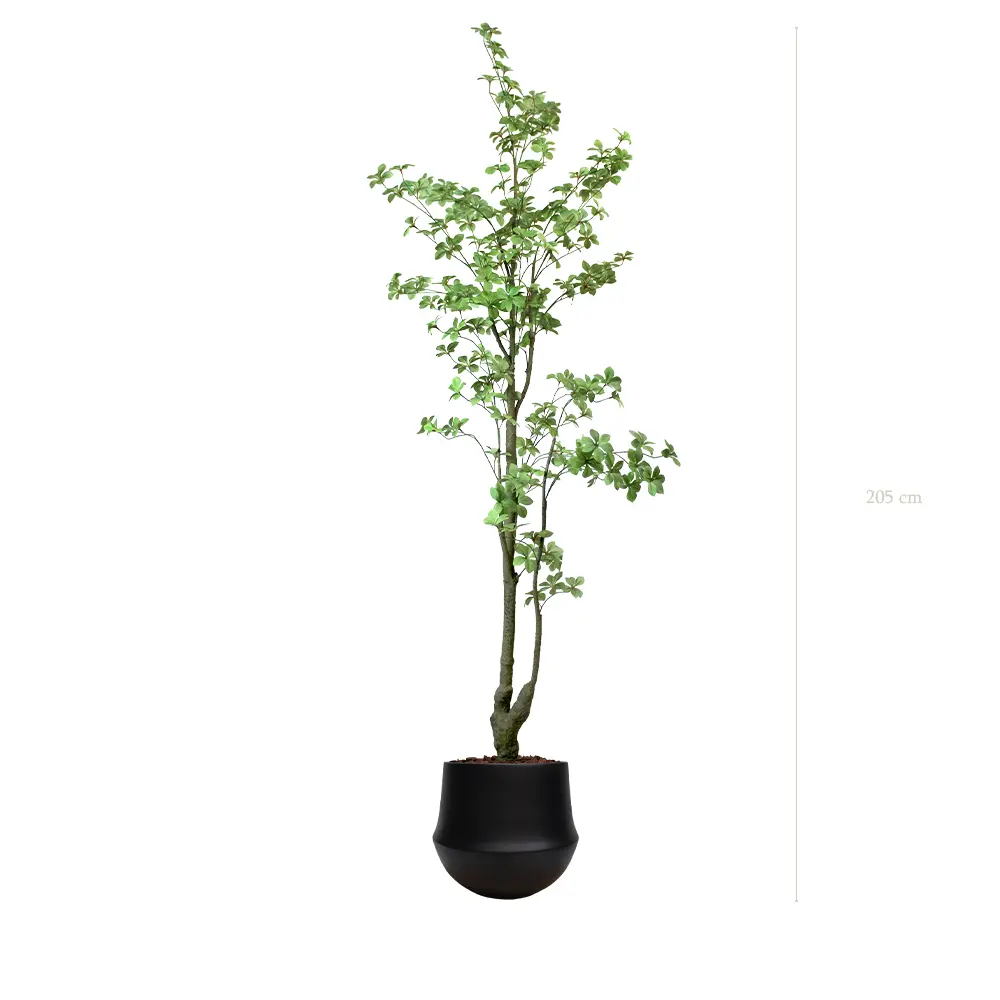 Le Tropaeolum - Pot Rond Noir - Artificiel 