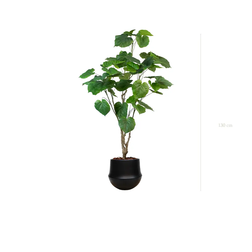 Le Ficus Umbellata - Pot Rond Noir - Artificiel 