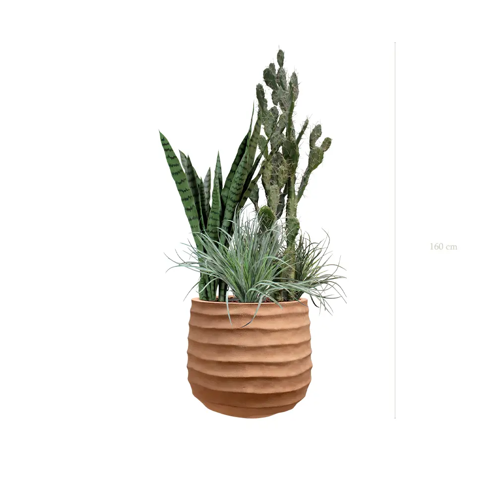La Paros - Pot Terracotta - Artificiel 