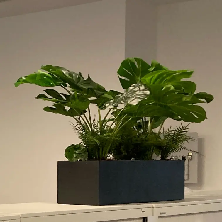 Jardinière Monstera 70 cm - Bac Noir - Artificiel