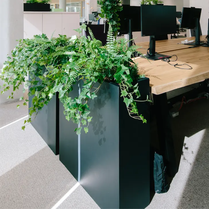 The Quito Ivy L. Black Divider #Artificial