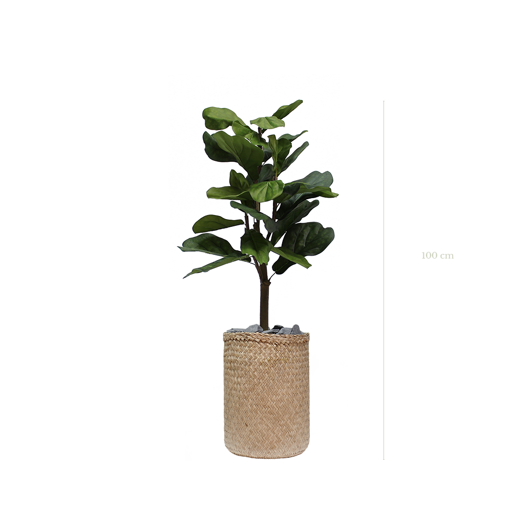 Le Lyrata 100 cm - Pot Tressé - Artificiel