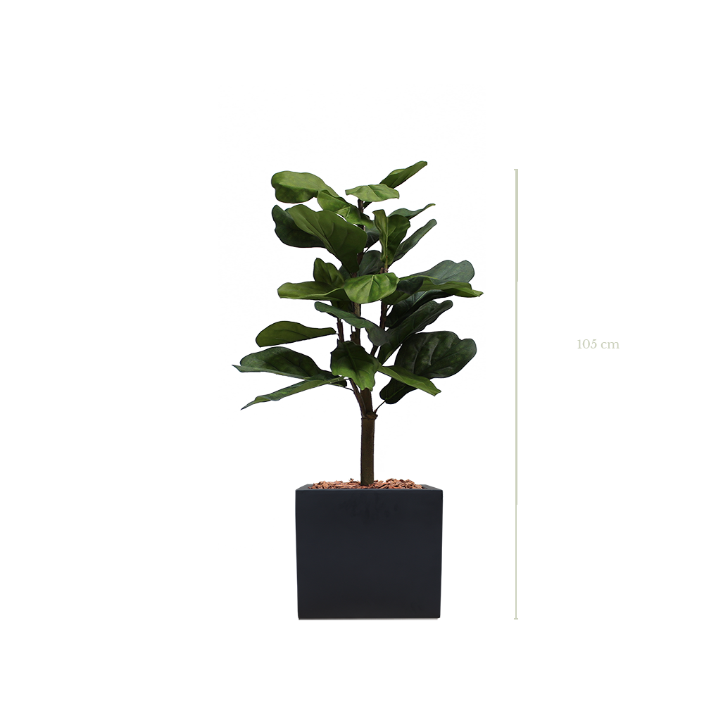 Die Lyrata 105 cm – schwarzer kubischer Topf #Künstlich