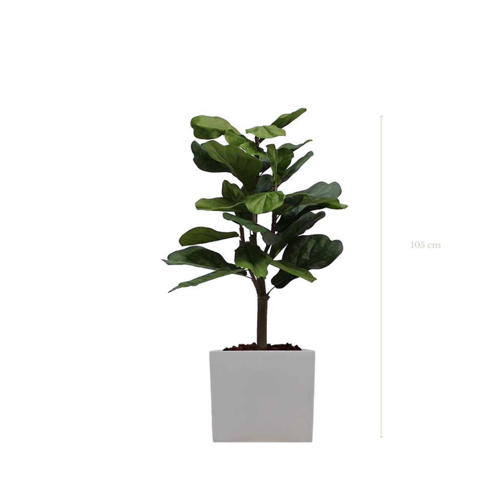 Le Lyrata 105 cm - Cube Blanc - Artificiel