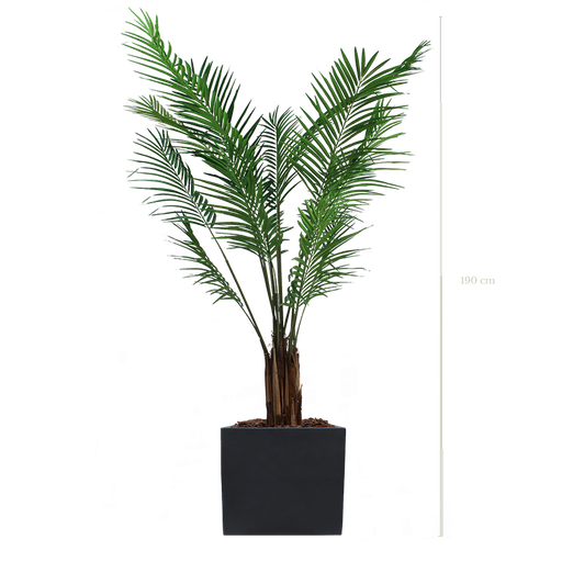 The Areca in a black square pot #Artificial