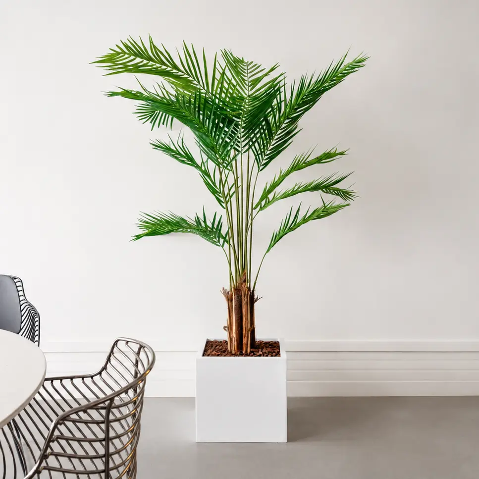 L'Areca 190 cm - Cube Blanc - Semi-Naturel