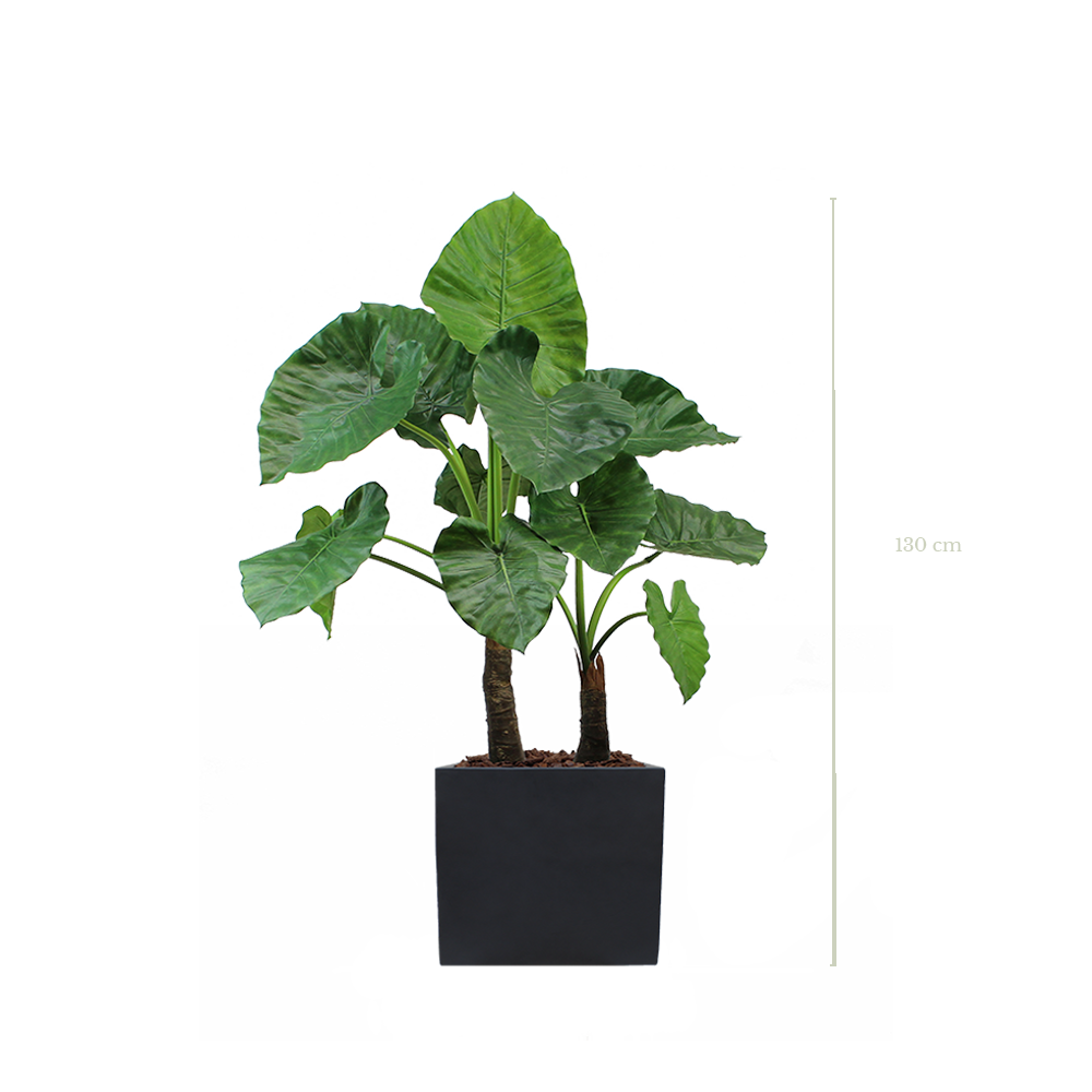 Le Grand Alocasia 130 cm - Cube Noir - Artificiel