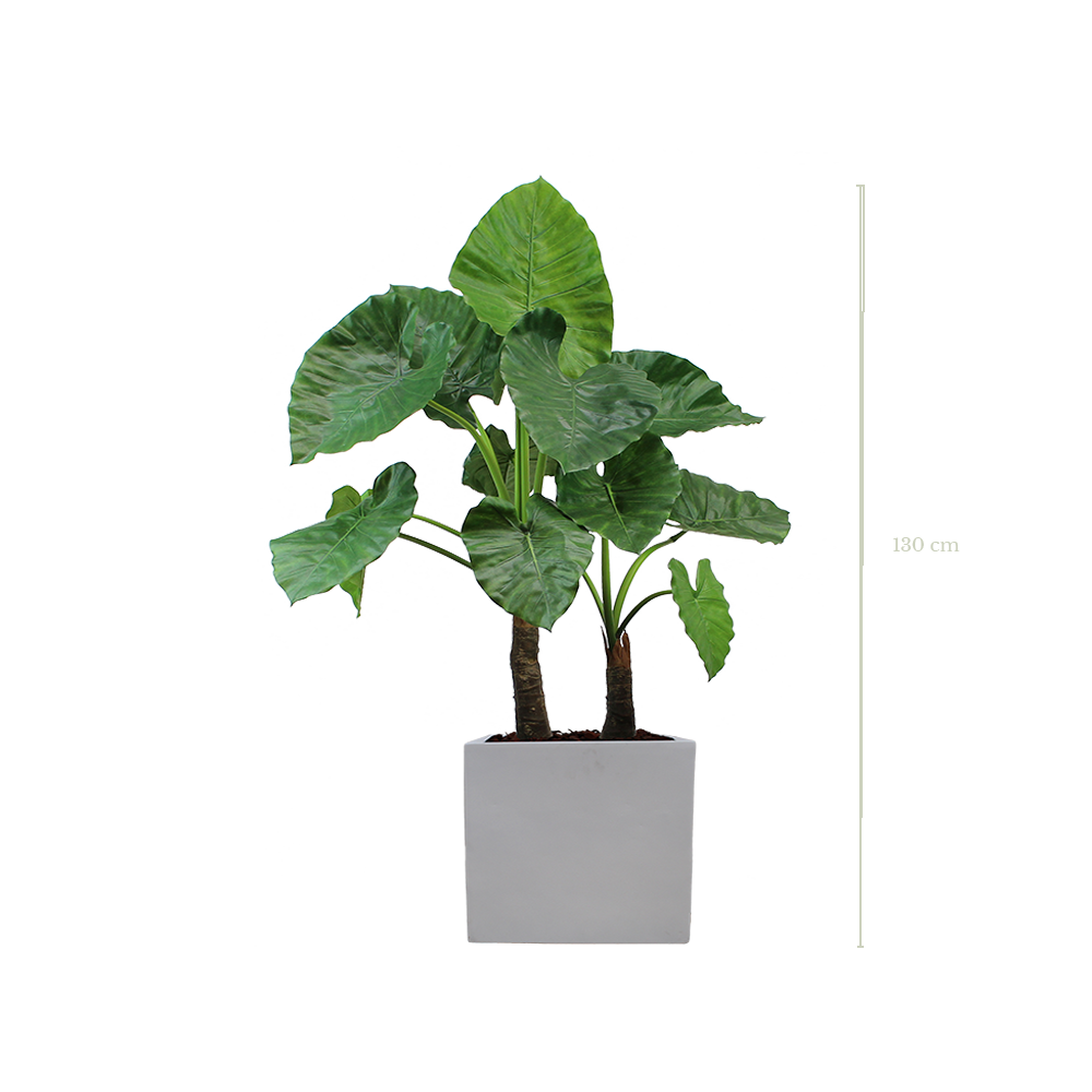 Le Grand Alocasia 130 cm - Cube Blanc - Artificiel
