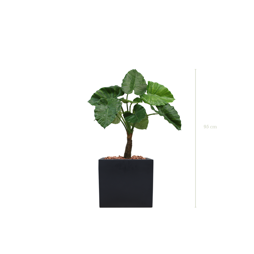 Le Petit Alocasia 95 cm - Cube Noir - Artificiel