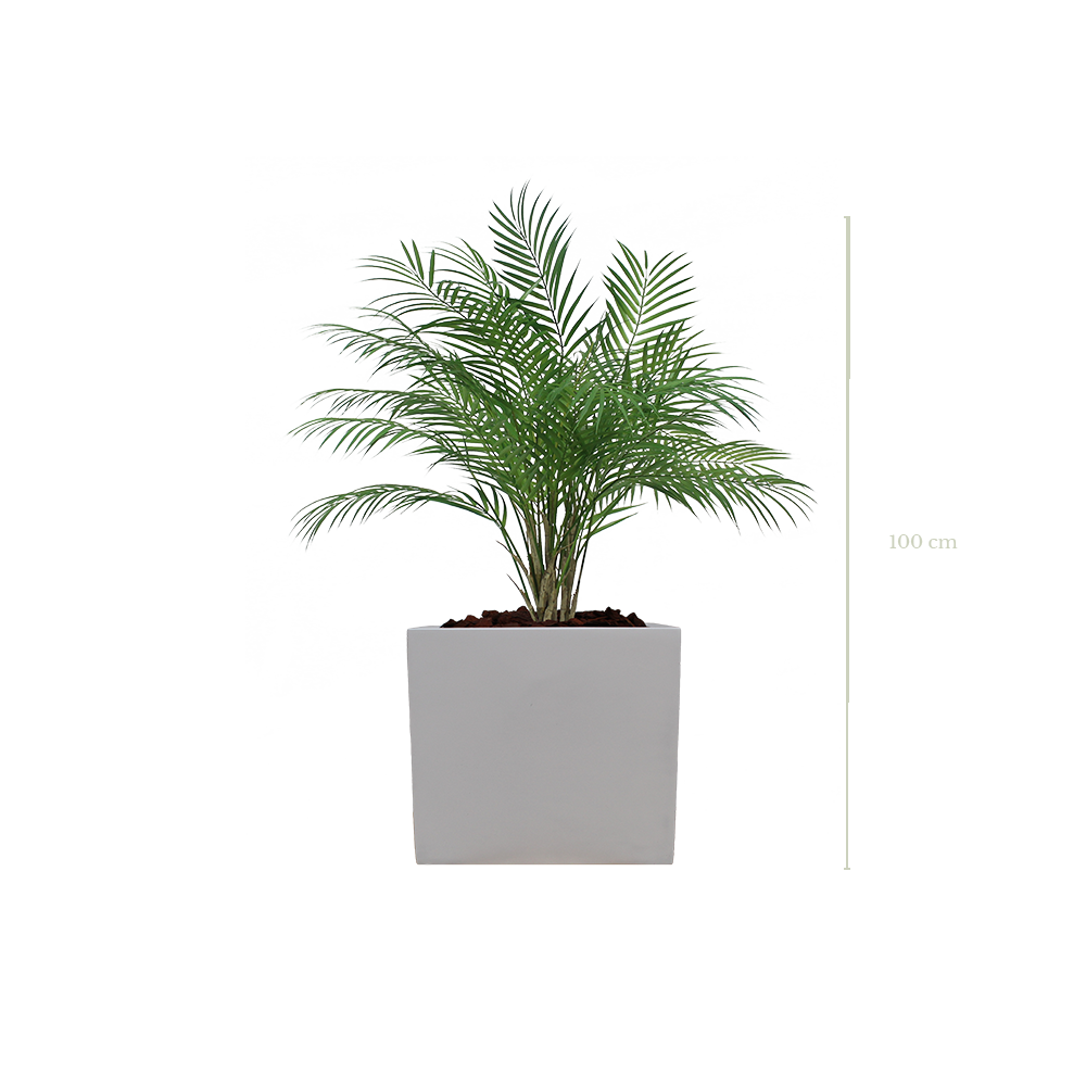 Die Palme 100 cm - weißer kubischer Topf #Künstlich
