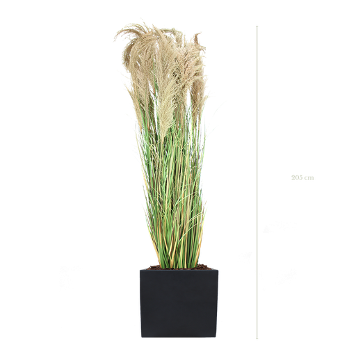 The Large Pampa 205 cm – Black Cube #Artificial