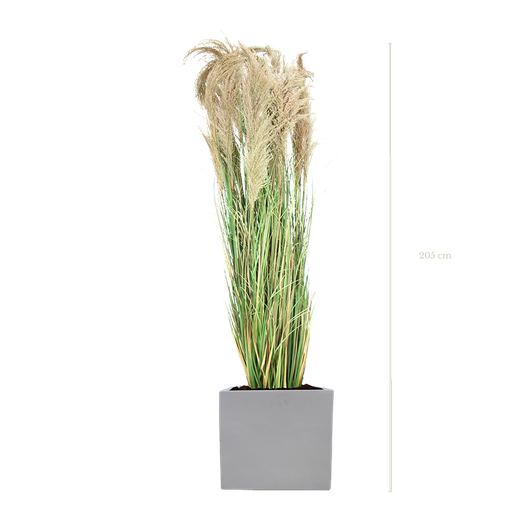 La Grande Pampa 205 cm - Cube Blanc - Semi-naturel