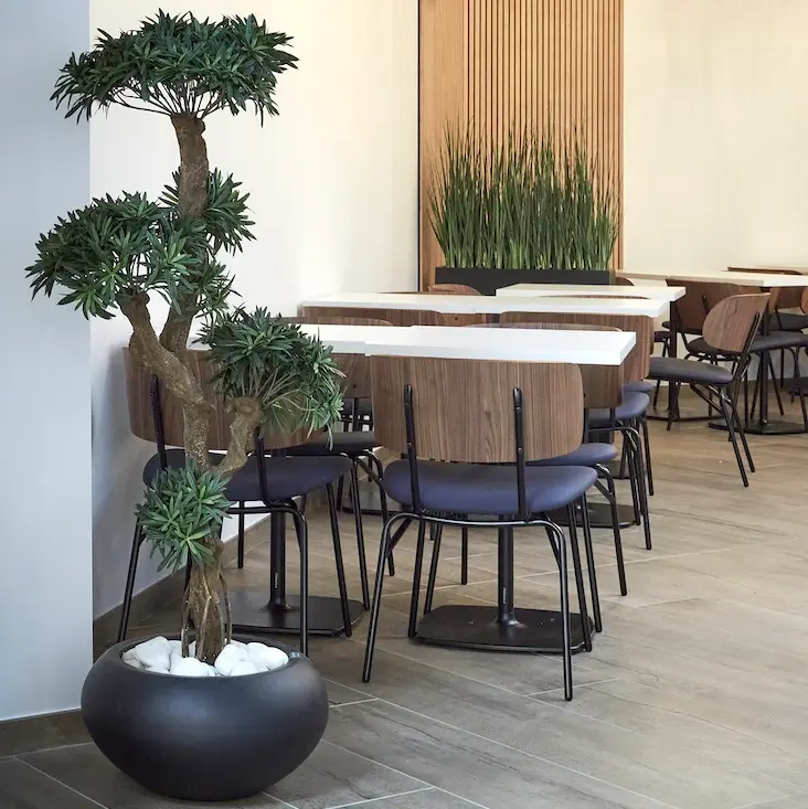 Le Podocarpus 150 cm - Pot Ovale Noir - Artificiel