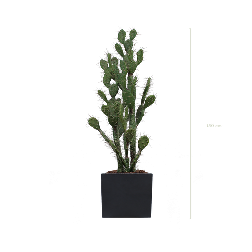 Le Cactus 150 cm - Cube Noir - Artificiel
