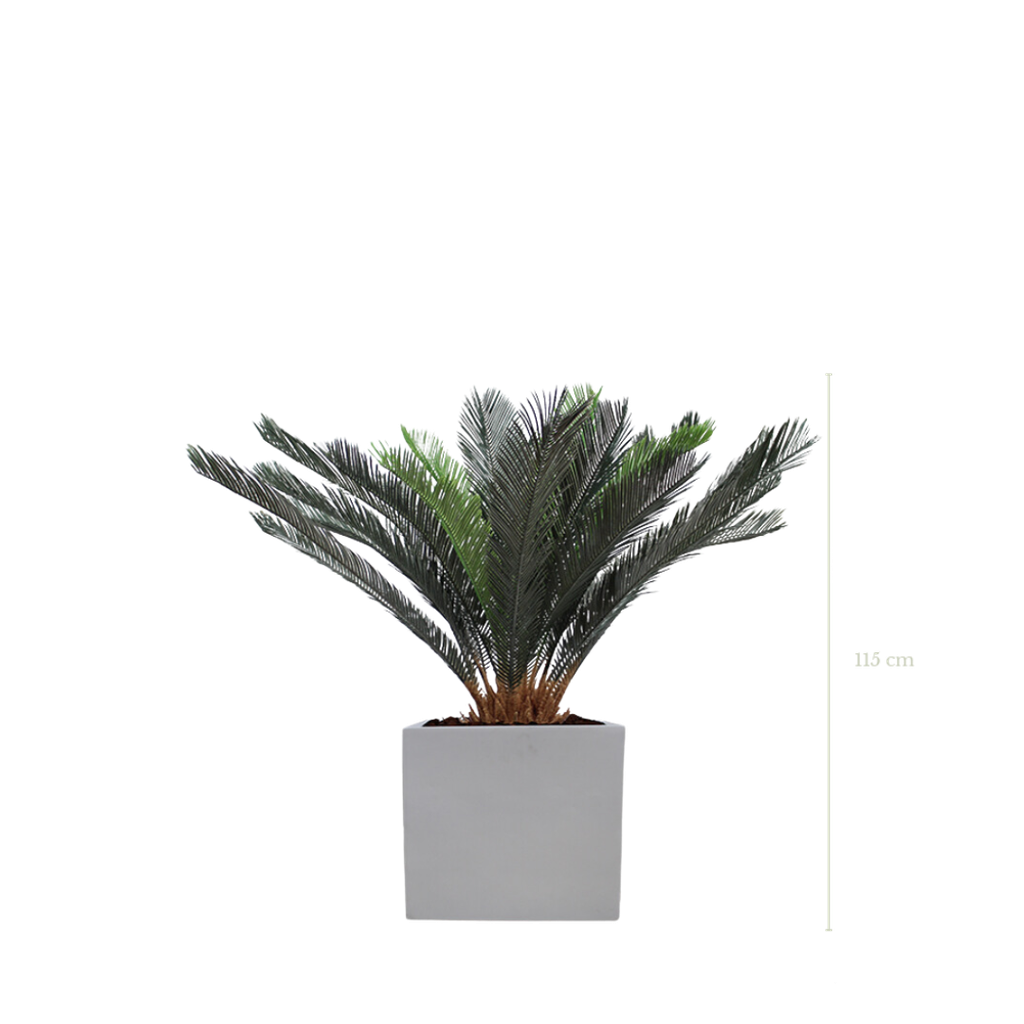 Der Cycas 115 cm - weißer kubischer Topf #Künstlich
