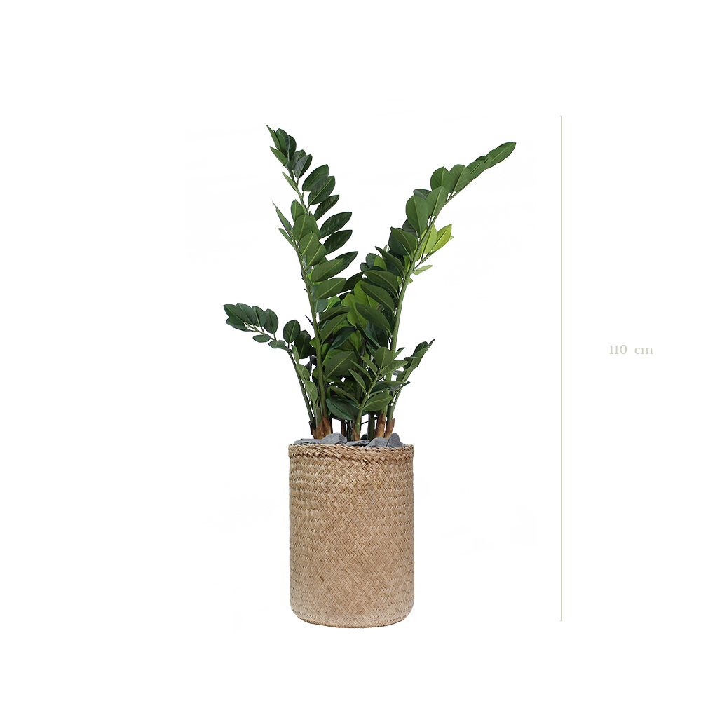 Le Zamia 110 cm - Pot Tressé - Artificiel