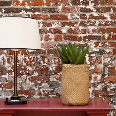 The Aloe in a natural woven pot #Artificial