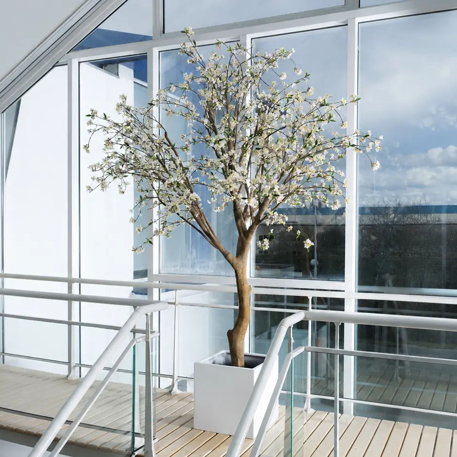 Le Cerisier 290 - Cube Blanc - Semi-naturel