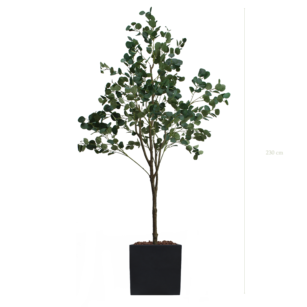 L'Arbre Eucalyptus 230 cm - Cube Noir - Artificiel