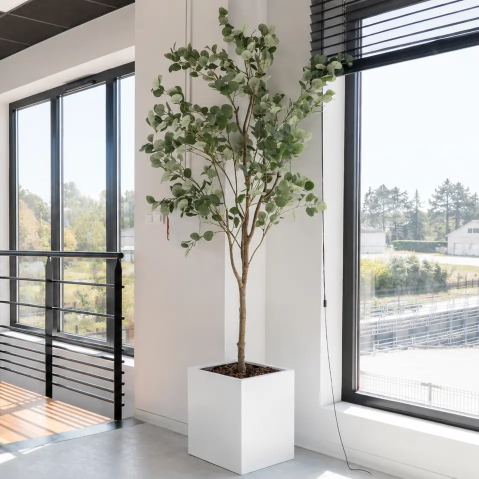 L'Arbre Eucalyptus 230 cm - Cube Blanc - Artificiel