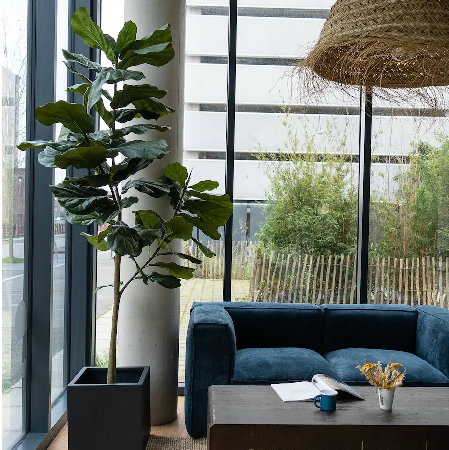 The Lyrata Tree in a black square pot #Artificial