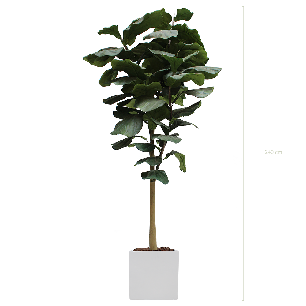 L'Arbre Lyrata 240 cm - Cube Blanc - Artificiel