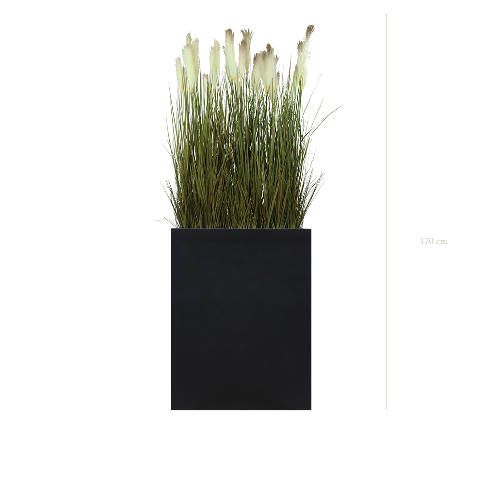 Séparateur M. Pampas 170 cm - Bac Noir - Artificiel