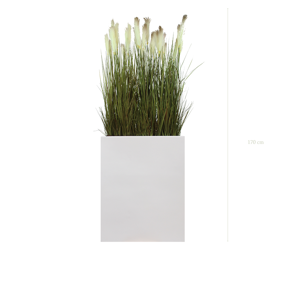 Séparateur M. Pampas 170 cm - Bac Blanc - Artificiel